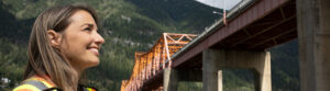hi-viz-bridge